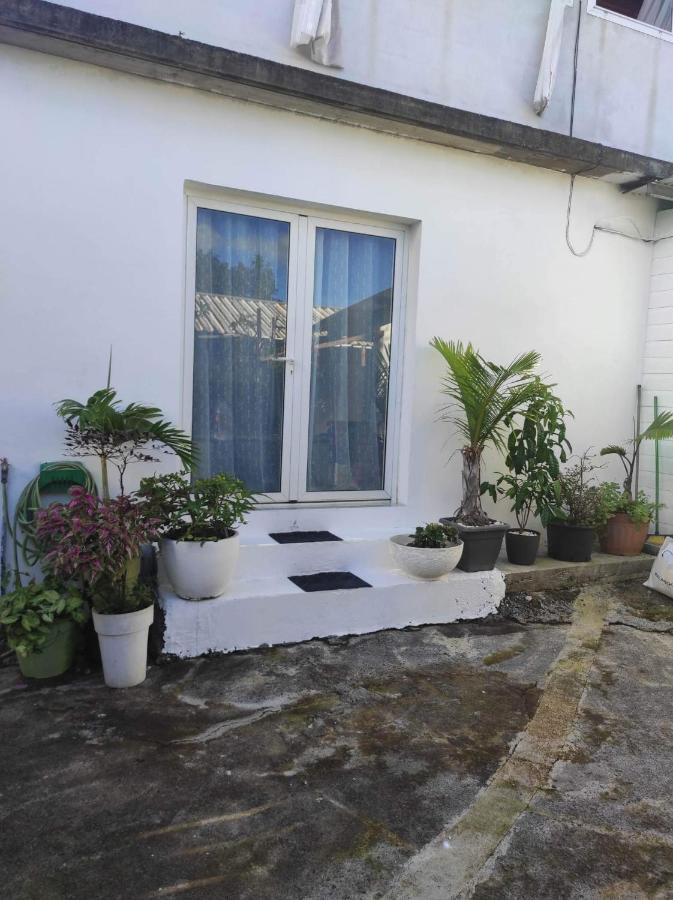 Location Saisonniere Les Bibassiers Le Tampon Exterior photo